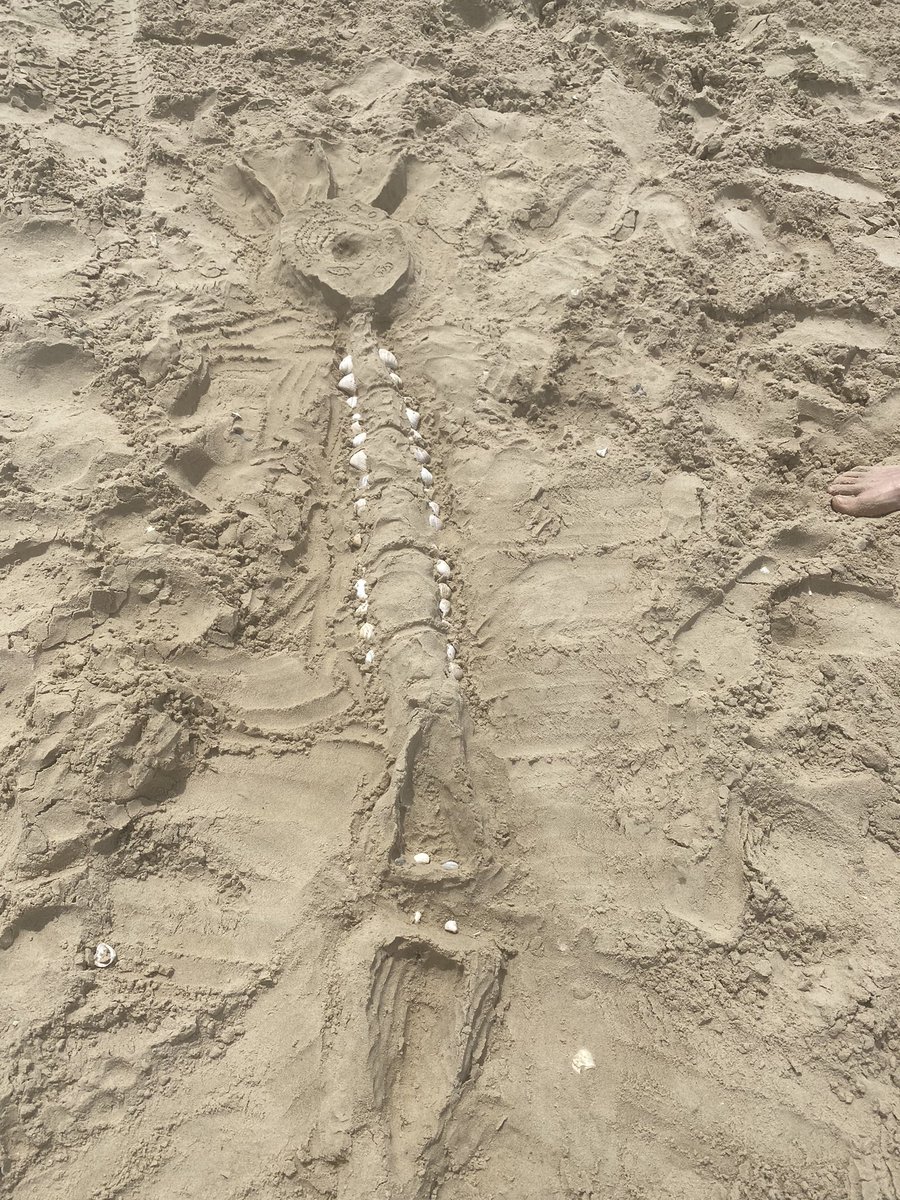 Science twitter - we need your help! The Douglas Lab annual retreat had a sand Neuron competition for our Olympics. We need YOUR votes to determine the winners.