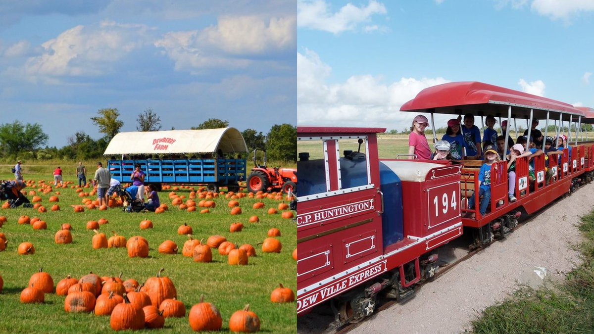 YPHoustonTX's tweet photo. 2022 Dewberry Farm Fall Festival

45 mins away from Houston 

Sept 24 – Nov 13

7705 FM 362, Brookshire, TX

🎃Pumpkins
🌽 Corn Maze
🚜 Wagon Rides
⛰ Slide Mountain
🚂 Train Ride
🎠 Carousel 
🎡 Ferris Wheel
🐷 Animals 
🍔Tasty Eats
🌻 Sunflower Field 
🍫 💨 Candy Cannon https://t.co/xb6rYBPJbK