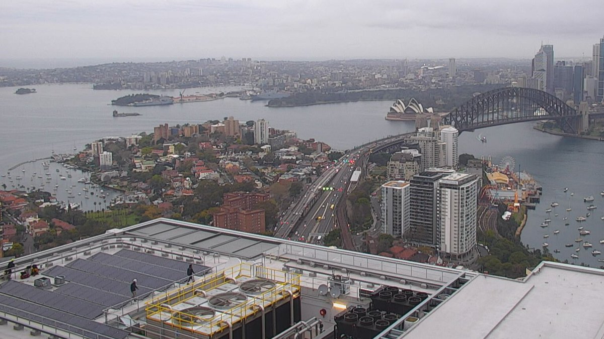 Had some tiny visitors today! 👋👋