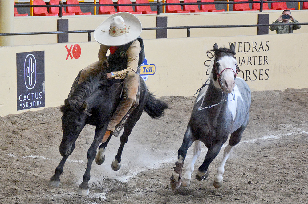 millonariothv's tweet photo. Cerrado triunfo de Rancho La Alborada en el paso de la muerte #CampeonatoMillonarioTHV #LaPichoniza

https://t.co/WKqpceliwl https://t.co/hF9c4JbcyS