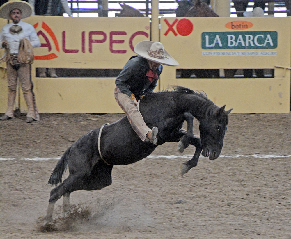 millonariothv's tweet photo. Cerrado triunfo de Rancho La Alborada en el paso de la muerte #CampeonatoMillonarioTHV #LaPichoniza

https://t.co/WKqpceliwl https://t.co/hF9c4JbcyS