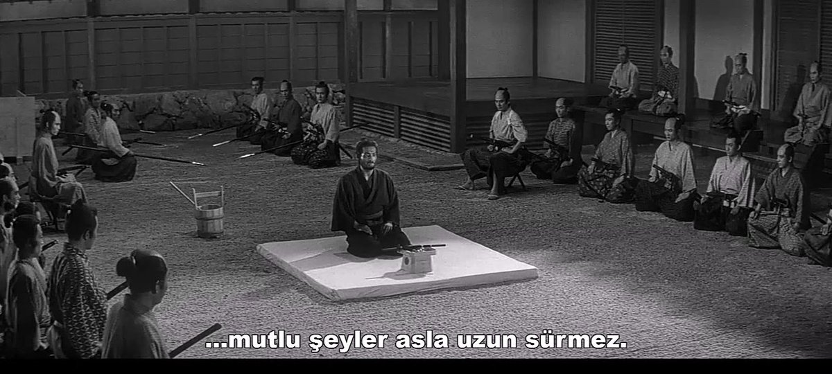 Mimoza (@mimozaforsky) on Twitter photo 