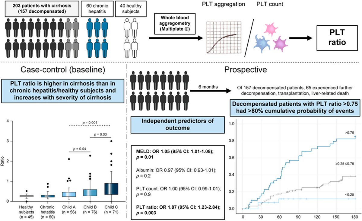 JHepatology's tweet photo. Patients with #cirrhosis have higher #PlateletAggregation
➡️increases with the cirrhosis severity
➡️elevated under #decompensatedcirrhosis
➡️risk of further decompensation, transplantation & liver-related death
Read it here👉https://t.co/SWUjaiTGOJ
@a_zanetto
#LiverTwitter https://t.co/EmFBhqvppn