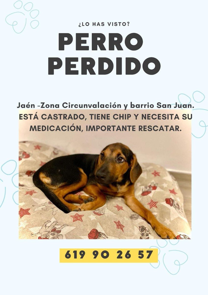 huelladejaen's tweet photo. Si eres de #Jaen por fa compartir a ve si aparece:

Se  me acaba de escapar, se llama Calé, va con la correa, se me ha caído la correa y se ha ido del susto por el ruido. Ha sido por la zona de San Juan, Arco de San Lorenzo. Mi teléfono es el 615 25 93 50 por si lo veis.. https://t.co/2x3eJ6cWS4