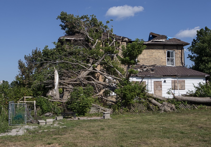 Uxbridge renters priced out of town after May 21 derecho still displaced: UXBRIDGE, Ont. – Blue tarps colour the rooftops and wooden boards cover up shattered windows in Uxbridge, Ont., three months after a devastating tornado ripped through town… https://t.co/tIKobNdfSz https://t.co/iQEaXfOU02