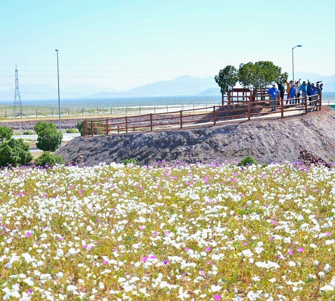 Ecoturismo La Serena tweet media