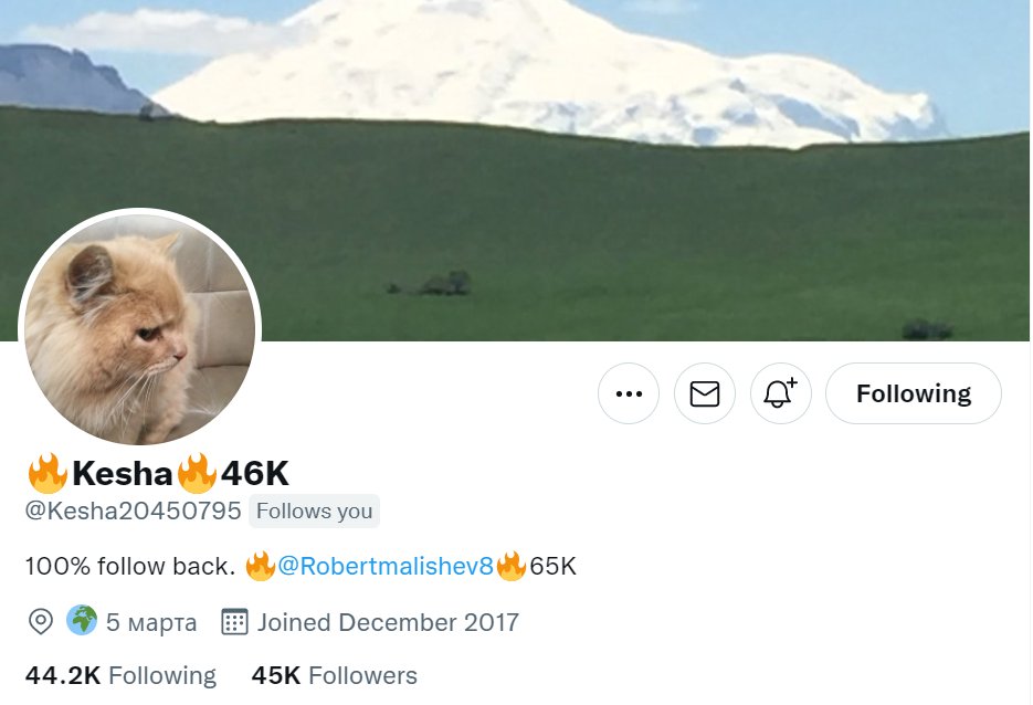 trendingwwwandw's tweet photo. 🏀🏀 Thank you@Robertmalishev8 🔥 + @Kesha20450795 🔥

@tiffeejasso✍️#Author📖 
@DavidDavidlaure
@franckcolas77 🇫🇷
@FrankDeMoro
@GoGutman 
@minnasiawase711
@Regardeleciel1 
@RockaDesign 
@rockethulsey
@RSD4160 
@RT78624070
@Sonia4Him
@TailorPromos 
@take2x2kun
@ThineArt https://t.co/HIL60Wn1gQ