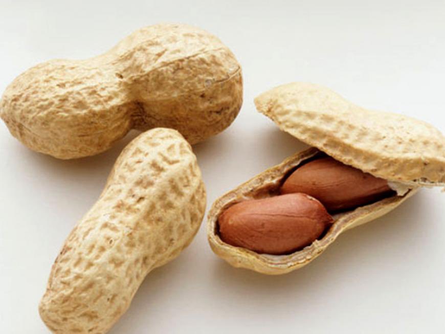 xannax 🕷 tweet media