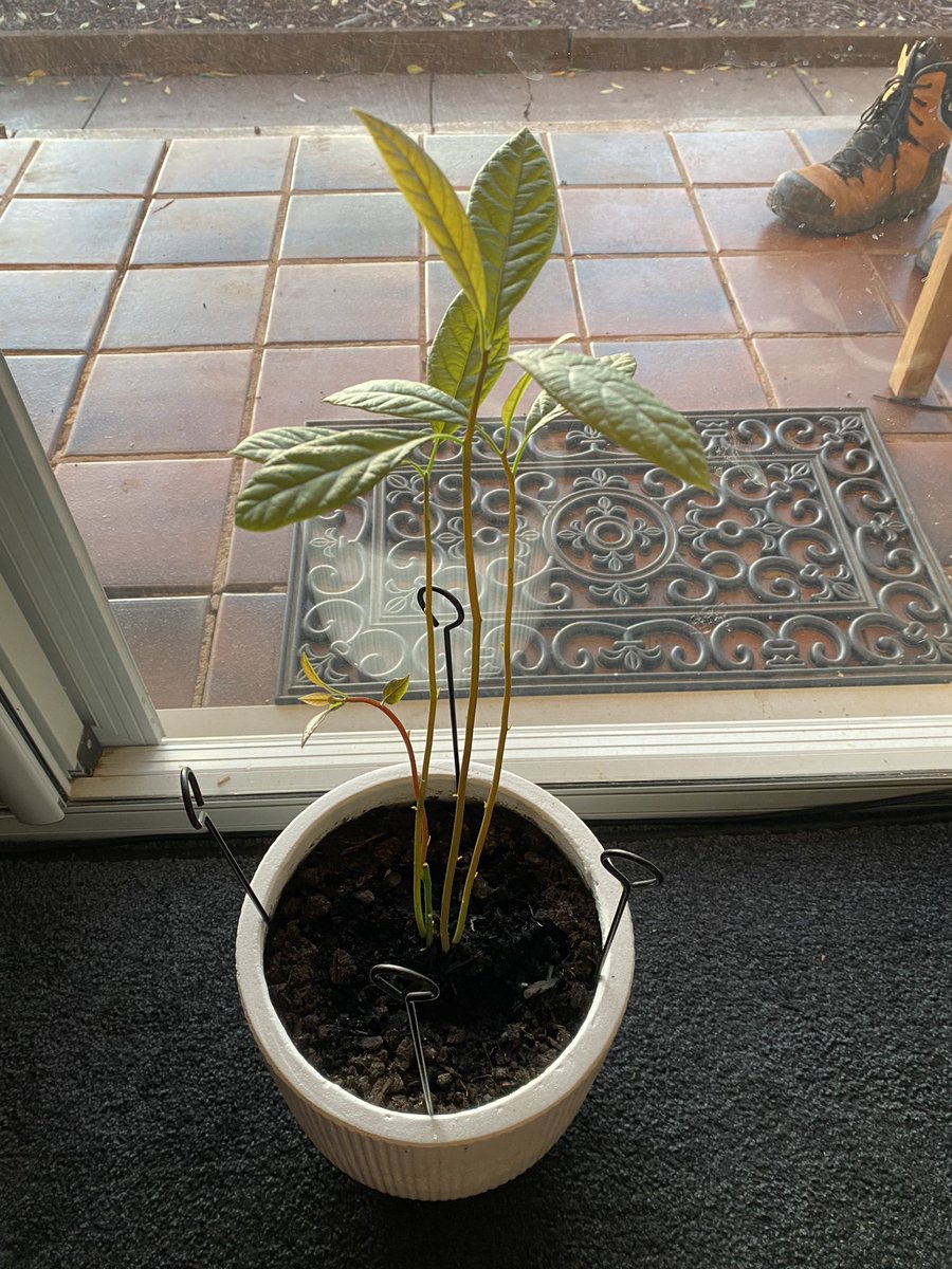 John Stevenson tweet media