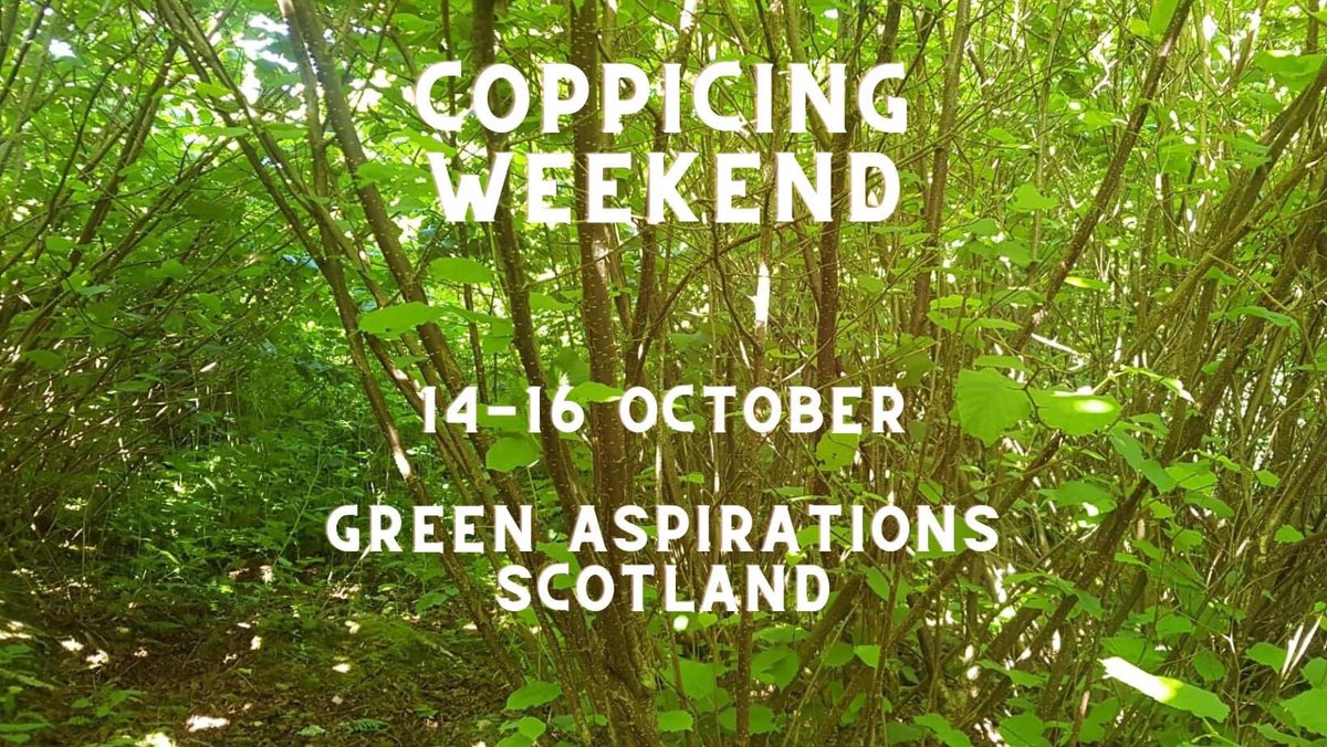 Scottish coppice gathering. Site visits, coppice crafts, charcoal fun and discussion about all things coppice booking here greenaspirationsscotland.co.uk/event-details/… #coppice #Scotland #crafts #billhooksatdawn