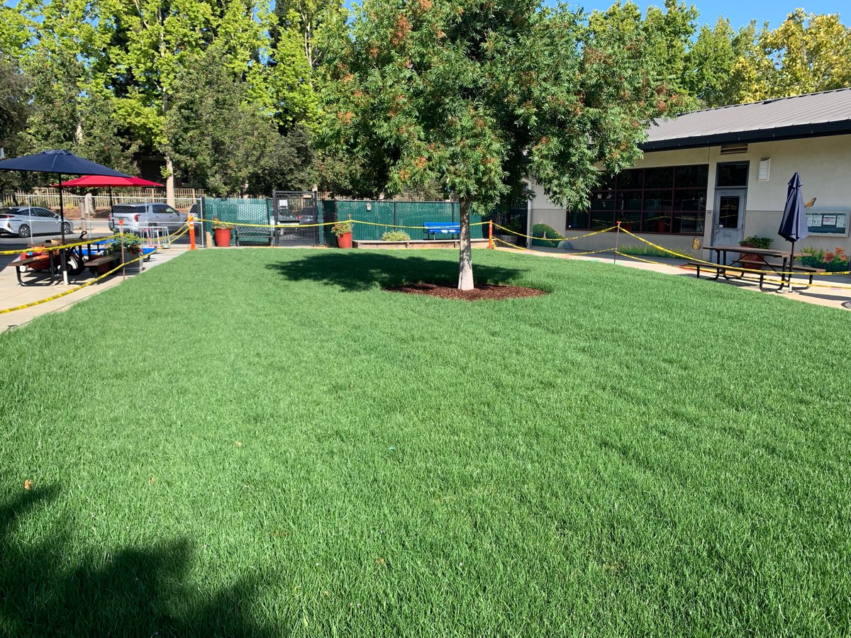 JohnsonP_LGUSD's tweet photo. Newly installed drought resistant grass at the Blossom Hill kindergarten playground. It is taking off! #weareLGUSD https://t.co/cEluFFfLrT