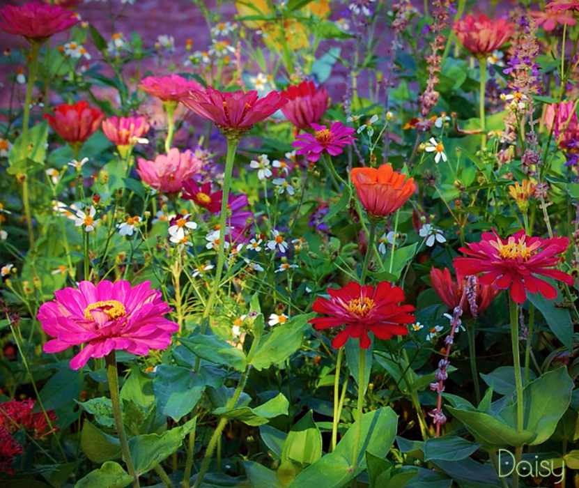 Dreams of forever 🍃