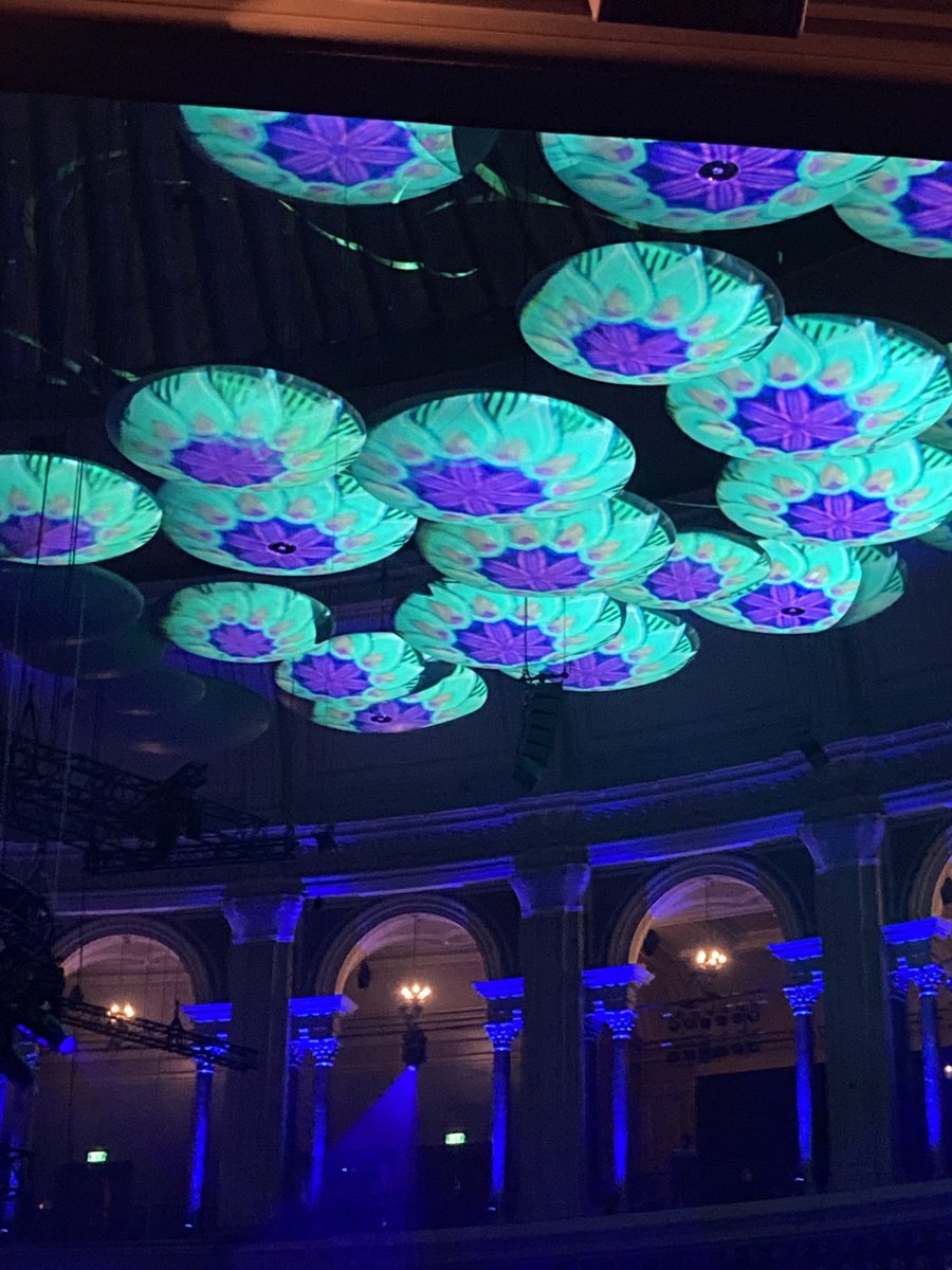 davidkpickard's tweet photo. Don’t think the mushrooms ⁦@RoyalAlbertHall⁩ have ever looked quite as wonderful as this.  ⁦@bbcproms⁩ Dream Prom https://t.co/rm66hQSsUC