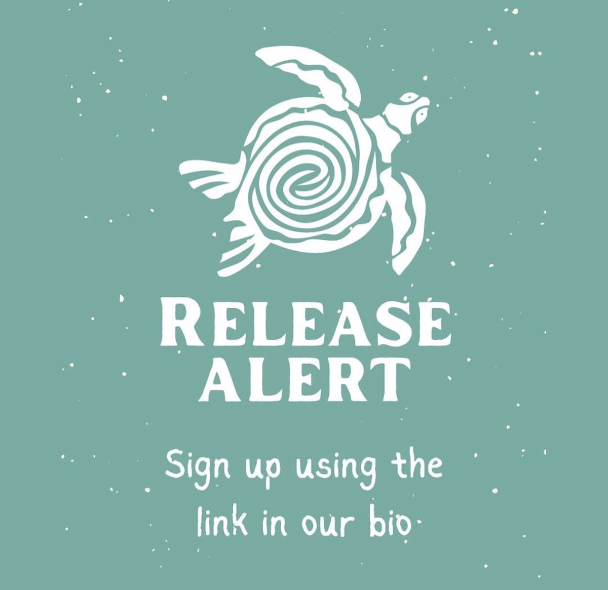 ‼️Release alert‼️
For any of you wanting to come and see a turtle release we have available slots this Friday 2nd and Saturday 3rd at 4:30pm.
Please sign up using the link in our bio.
Spaces are limited🐢