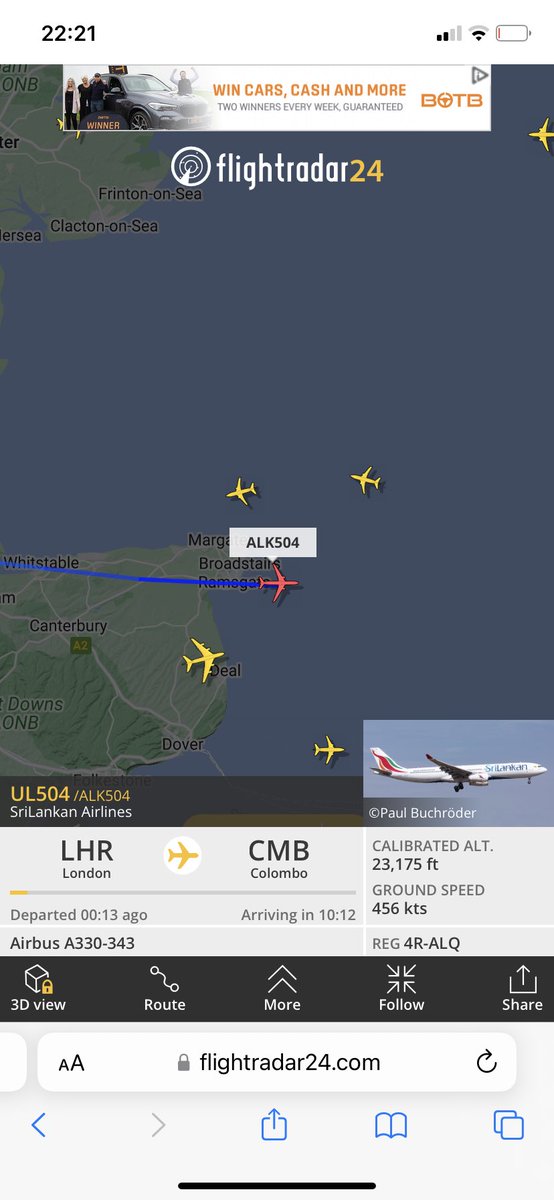 Hodd I Am tweet media