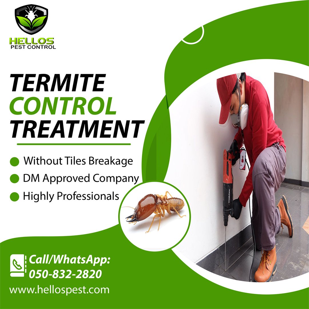Termite control treatment  in Dubai.
For more detail call/WhatsApp +971 50 832 2820 
visit our website: //www.hellospest.com 

#termite #termitecontrol #termitetreatment #pestcontroldubai #dubai #hellospest #pestcontrolservice #dxb #jumeriah #dubaihills #Mirdif