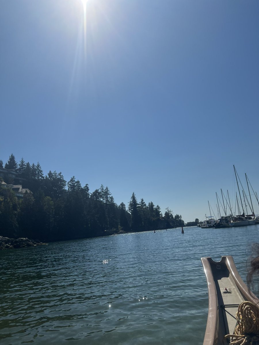 Alysha Karsan Philip tweet media