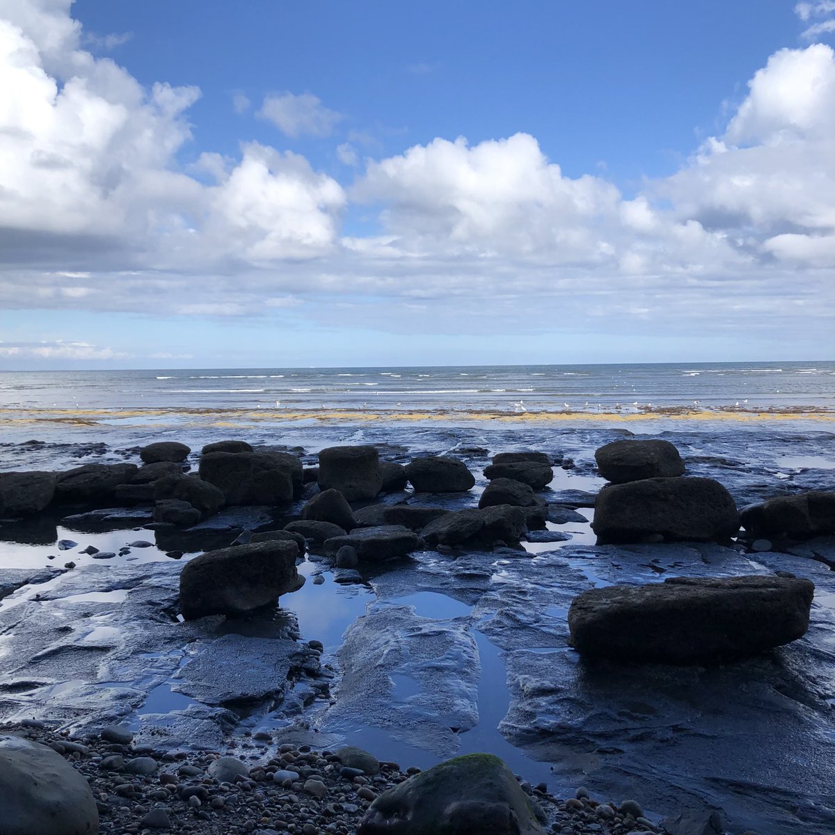 Saltburn2022's tweet photo. ⭐️ Book direct with us on 01287 622544 ⭐️ 
#northeastcoast #skinningrovebeach #saltburnbythesea #coast #northsea #ukbeaches https://t.co/1MybbdvLig