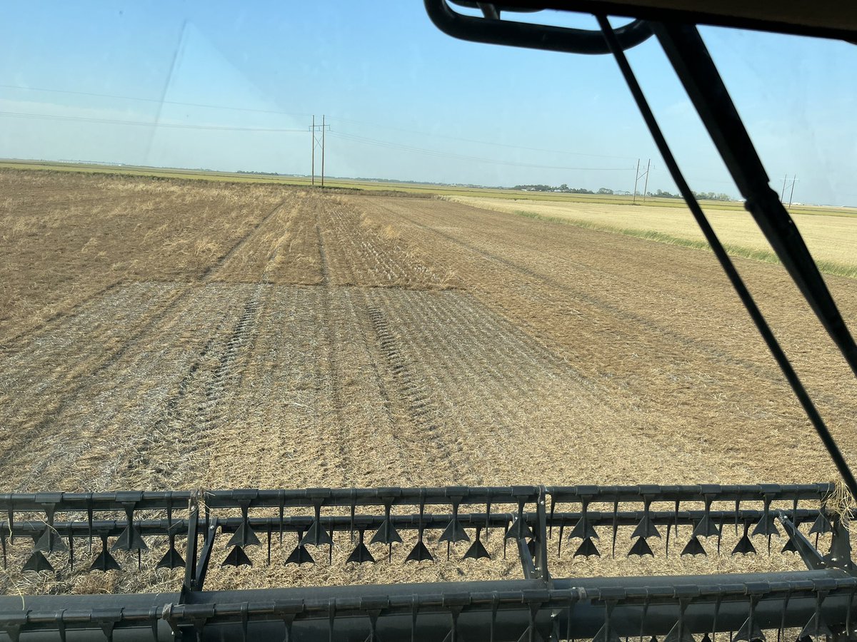 Karter Kattler tweet media