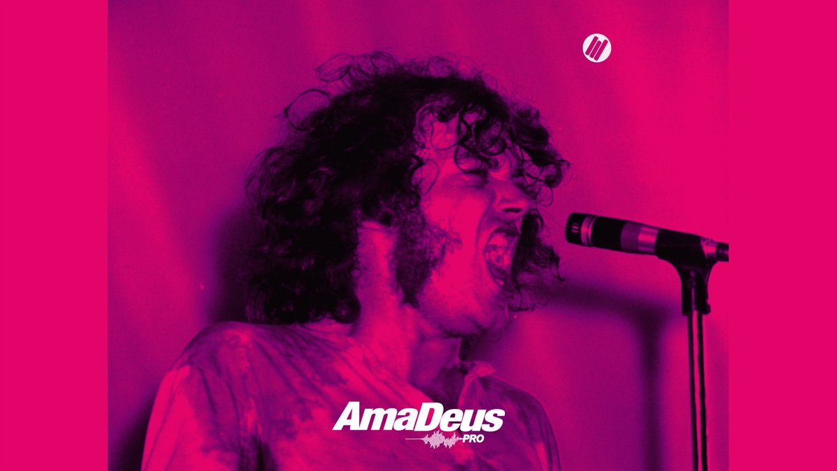 AmaDeuspro.Network tweet media