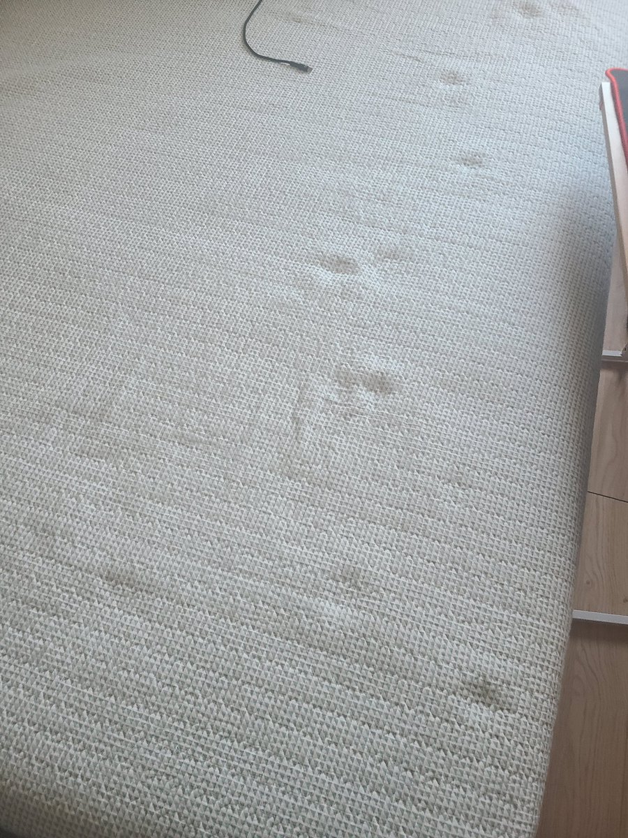 danbi0139's tweet photo. 고양이가 왔다 갔음을 알 수 있지 https://t.co/HrBPverkst