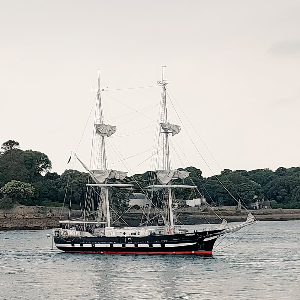 RehabLegendLou's tweet photo. Desperately wanted to see Em arrive into @MayflowerMarina on the stunning @SeaCadetsUK TS Royalist.....

What I didn't realise was that she was 'driving' it!! She did an awesome job too...

(Anyone else singing the theme from The Onedin Line 🤣)

#proudmum #seacadets #tsroyalist https://t.co/VvWg8u6DT3