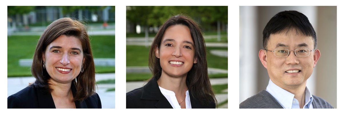 Michael F. Chiang, MD tweet media