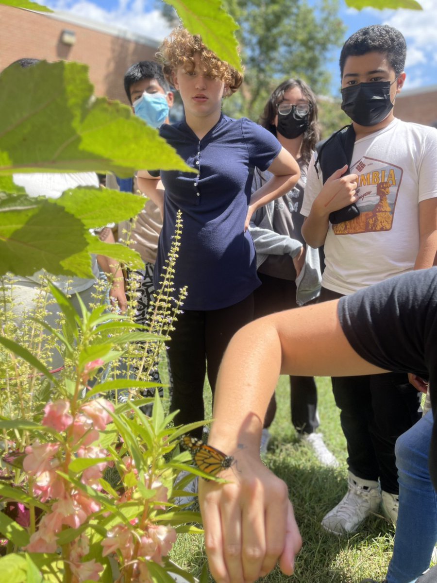 Walt Whitman MS tweet media