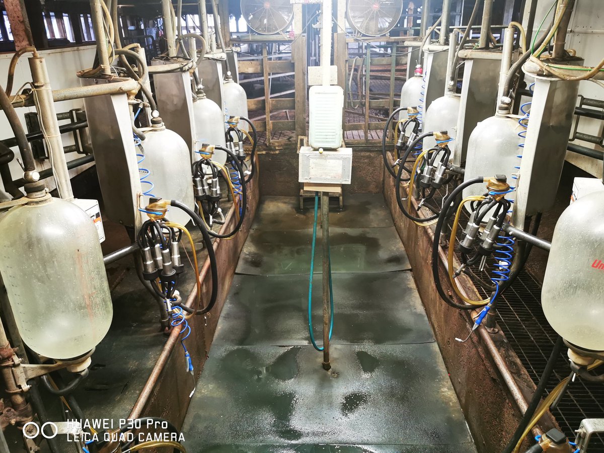 Nelson74 tweet media