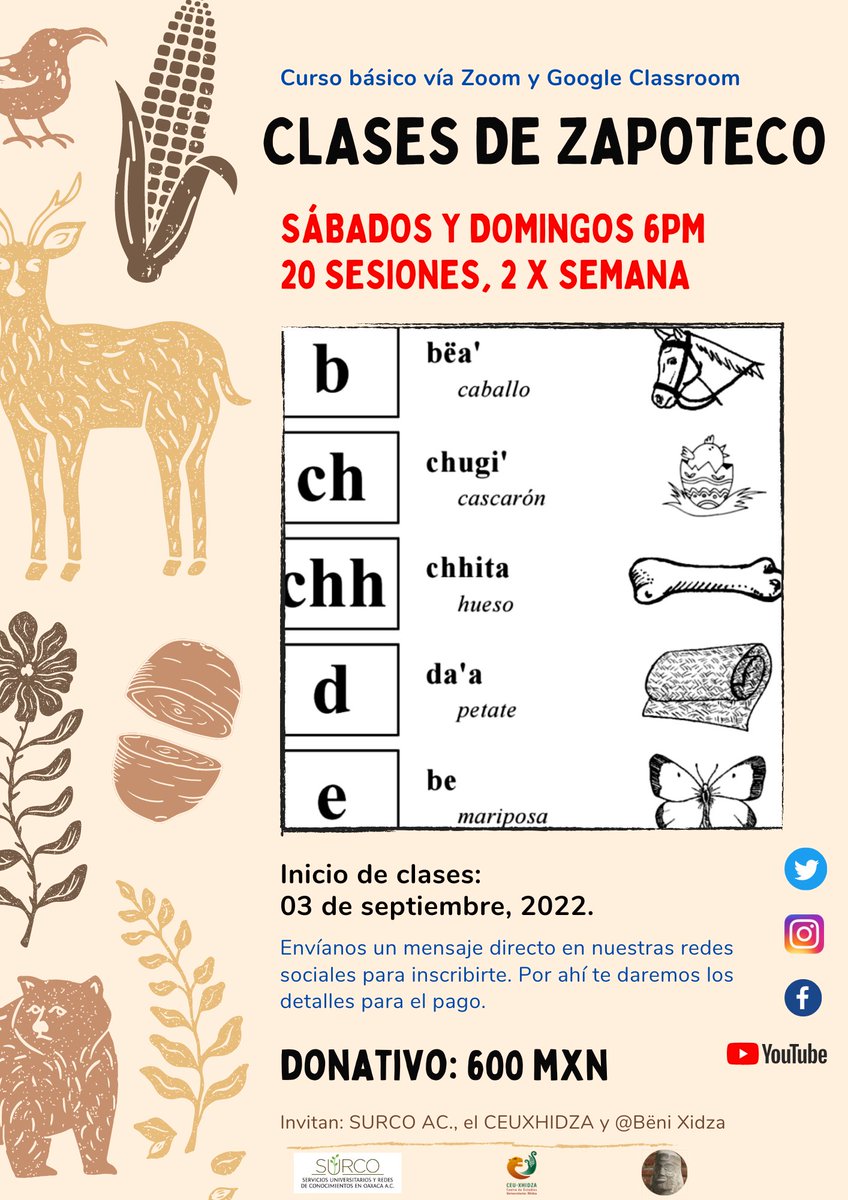ZapotecoXidza's tweet photo. Amigxs 🙋🏾‍♂️ el sábado empezamos nuestro curso de Zapoteco. Las clases serán los sábados y domingos a las 6pm.  El curso tiene un costo total de 600 MXN, para inscribirte sólo tienes que hacer el pago correspondiente. Si deseas participar envíanos un MD.

@YasnayaEG 
@violetavr https://t.co/KulxqwYvMU