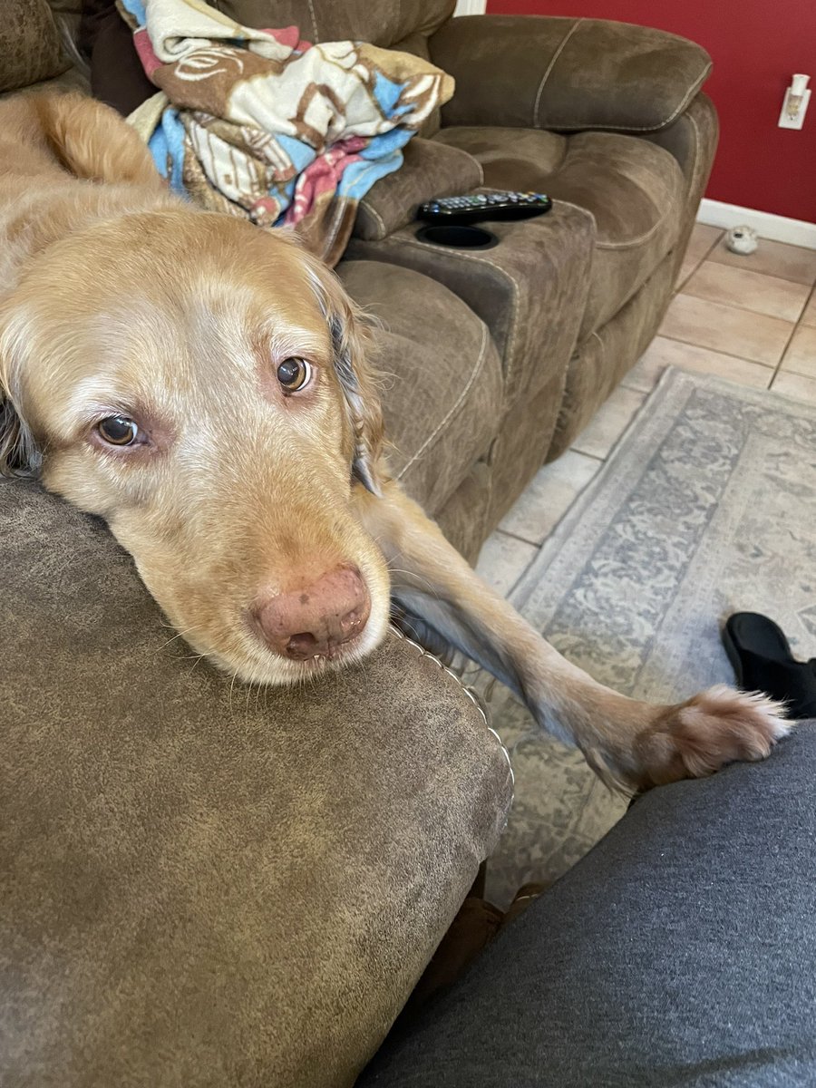 HeatherPerryBax's tweet photo. @jayewells Penny says “I’m sorry you’re having a tough day.” https://t.co/vzYStpNRNy
