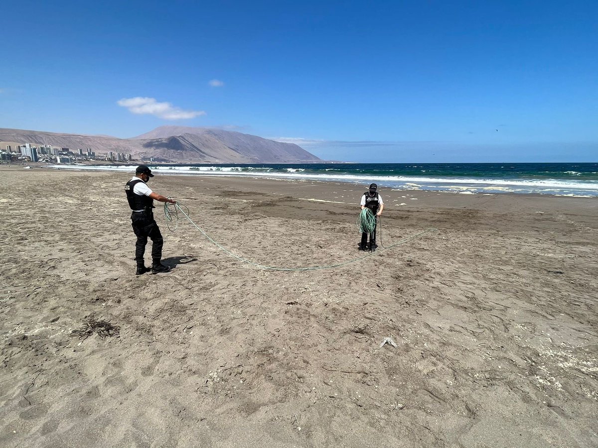 Armada de Chile Cuarta Zona Naval tweet media