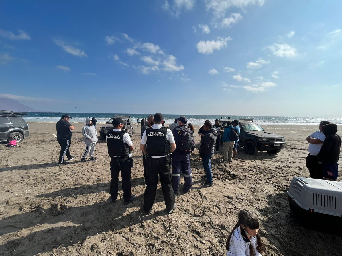 Armada de Chile Cuarta Zona Naval tweet media