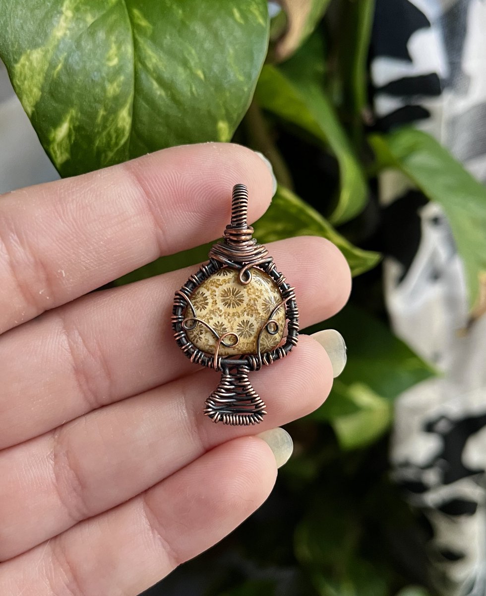 heidiswrapss's tweet photo. Fossil coral mini mushie 🖤✨ https://t.co/aTG3UgjezT
