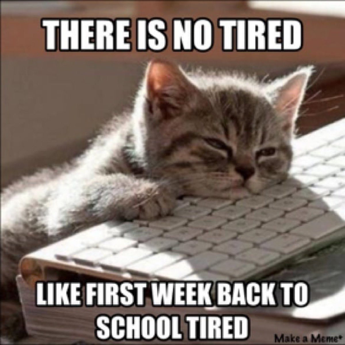 Be sure to take extra care of yourself as you get back into the swing of things this semester! The University Counseling Center has walk in hours all week!