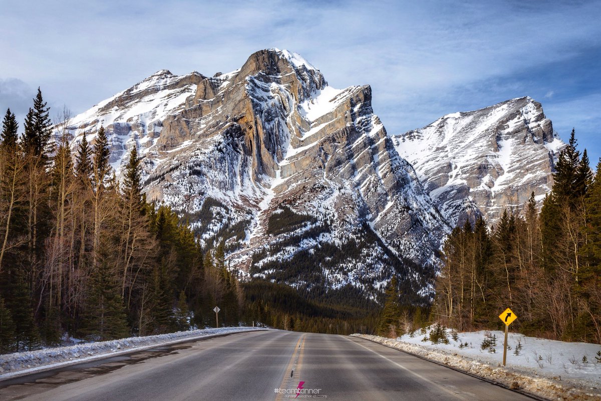 treetanner's tweet photo. It’s our first ever #AlbertaDay so I’m going to share a few pics of my province #teamtanner @dartanner https://t.co/0XGcmi41ol