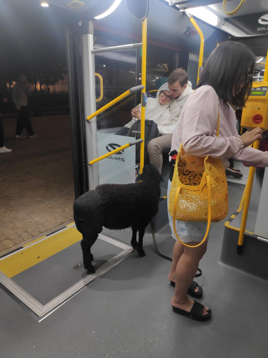 michalplocinski's tweet photo. Właśnie do autobusu wsiadła kobieta z owcą w pielusze 🐑 Warszawa nocą bywa zaskakująca https://t.co/TDfvP0GC00