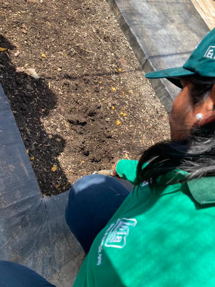 OlivoPro's tweet photo. Gracias a todos los productores olivícolas que nos acompañaron hoy, estamos contentos de seguir apoyando al crecimiento de conocimientos de nuestros productores.
A seguir creciendo juntos!💚
(2/2) https://t.co/bXnbLxASLm