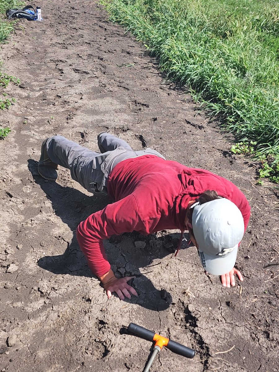 He said dirt in my Soils Class. <a href="/CoverCropDr/">Shalamar Armstrong</a> <a href="/DrRichardRoth/">Richard Roth, PhD</a> <a href="/InformAgronomy/">The Informed Agronomist</a> <a href="/CoverCropsMCCC/">Midwest Cover Crops Council</a>