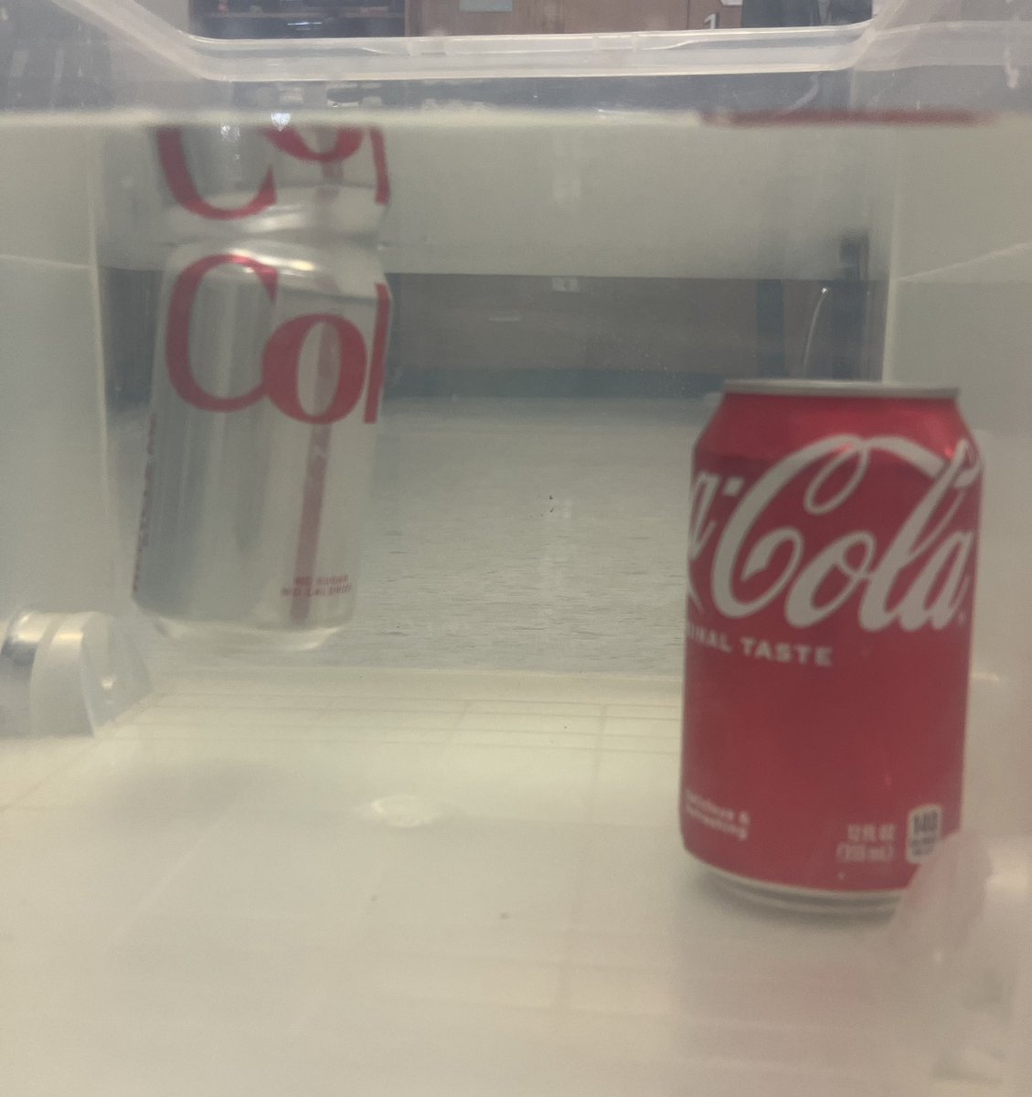 MrsADiemert's tweet photo. We floated right through our soda surprise ADI: Why does diet float while regular sinks?   @oms_bulldogs #omsscience @CollierScience #ccpssuccess @CocaCola @DietCoke https://t.co/RP8bDr57XY