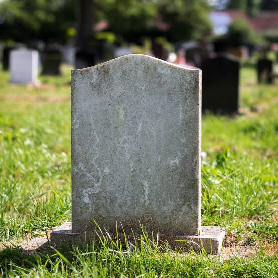 Nyanlartothep's tweet image. Verdadeira reação do Steve Rogers vendo isso: