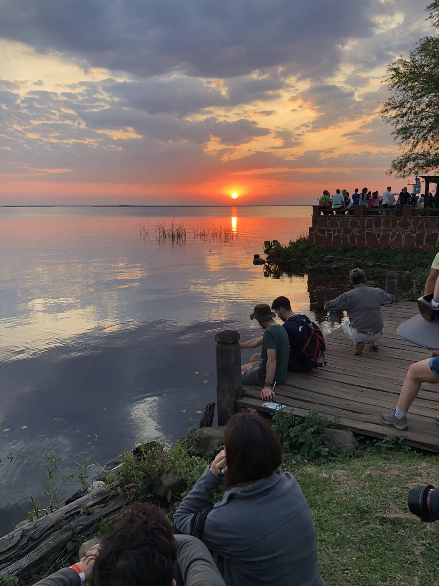 Quién quiere más de esto? Yo sí. #taxojueves de humedales desde #Iberá <a href="/taxojueves/">#taxojueves Oficial</a>