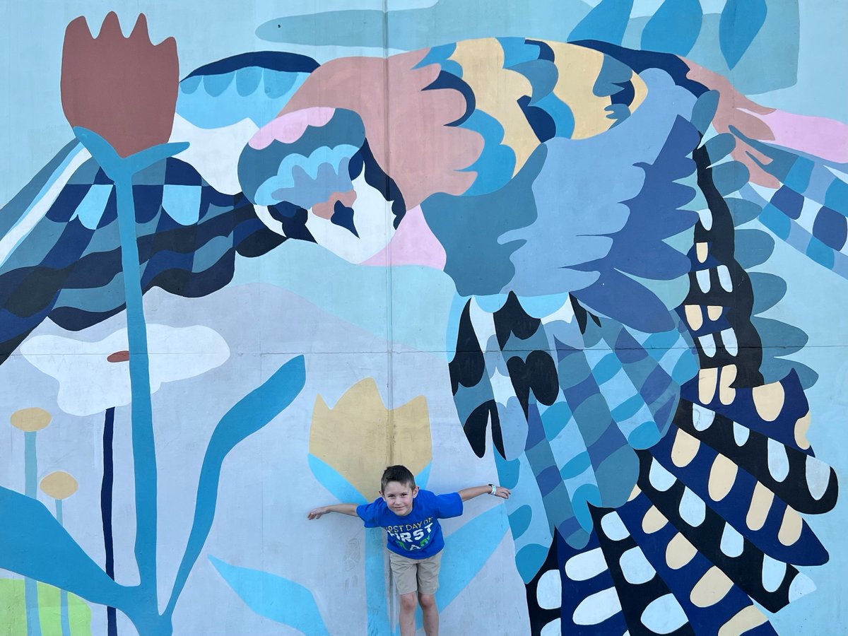 PullmanSD's tweet photo. Reilly soared like a Kestrel to his first day of school! He is in first grade and this is his first day at Kamiak! #soarlikeaKEStrel #PROUD2bePSD #PSDback2school https://t.co/L1Afv5o1eD