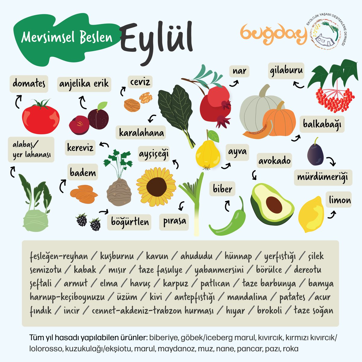 Eylül ayının güzelleri! 😍

🌱🍅 Mevsiminde ekilen meyve ve sebzeler doğal döngülere uyumlu bir şekilde büyür, doğaya rağmen değil.

👉 bugday.org/blog/mevsimsel…

#BuğdayDerneği #MevsimselBeslen #Eylül