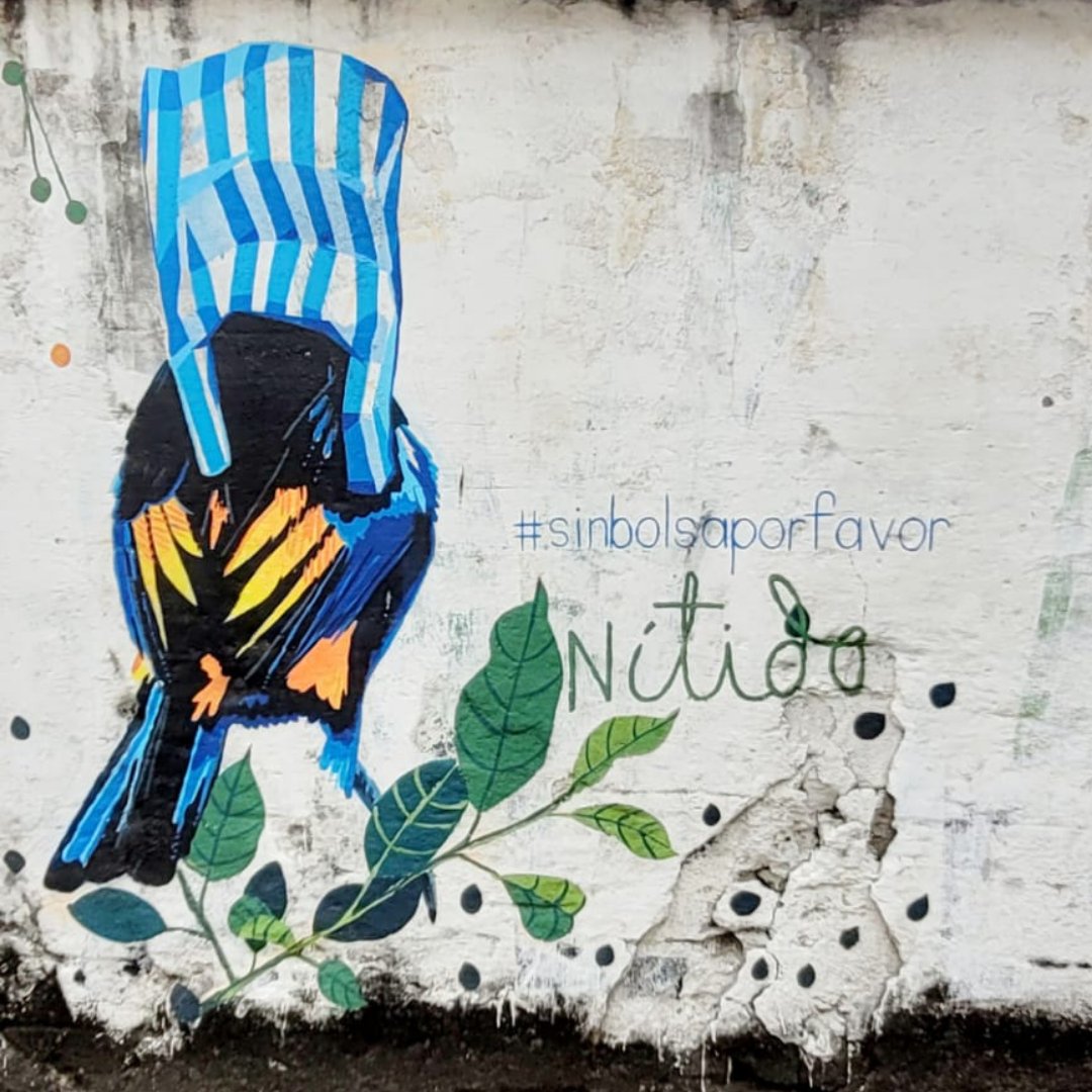 AudubonAmericas's tweet photo. Los residuos plásticos ahogan nuestras vías fluviales, contaminan nuestros océanos, matan la vida silvestre y se infiltran en nuestra cadena alimentaria.
#sinbolsaporfavor #sinplasticos #VIERNES #cambioclimatico
Foto: @Polymarti https://t.co/Q2yf8W37Fa