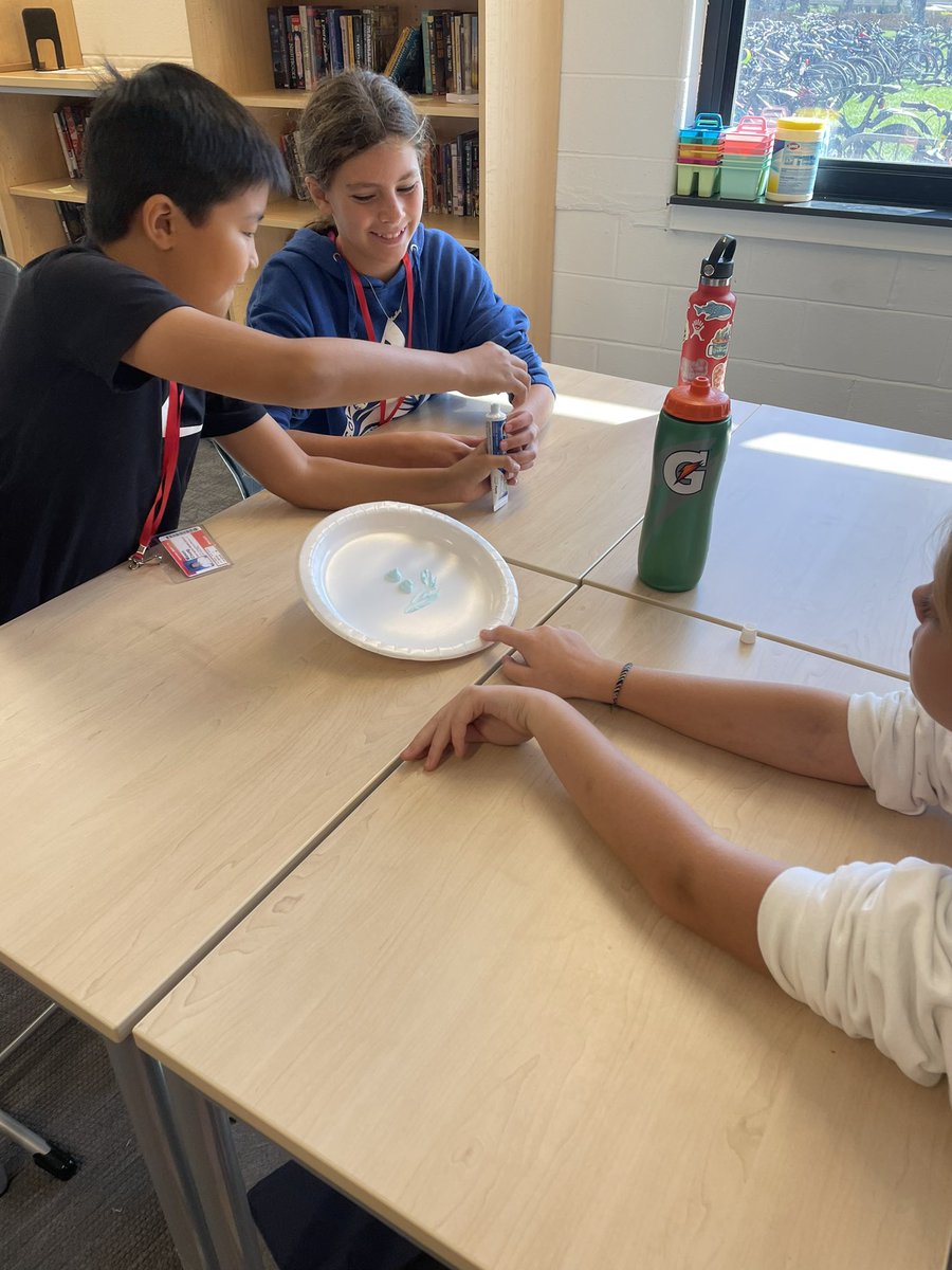 Elena Caracci tweet media