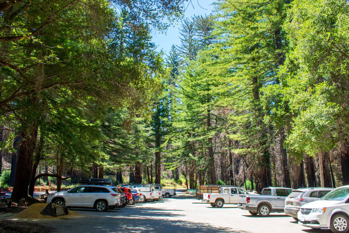 ThatsMyPark's tweet photo. ⚠️ Reservations are required to park at Big Basin Redwoods State Park! Visitors without a reservation to park their vehicle will be turned away. ⚠️

Visitors can bike or bus to the park without a reservation.

Make a reservation: https://t.co/Lo2U98AGQ3 
#BackToBigBasin https://t.co/vpwtFbvdCo