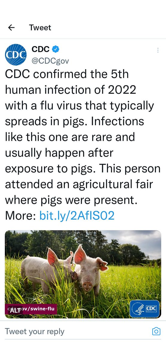 WordDays's tweet image. #DaysTip

What else is there to say? Get ready for another vaccine. 
#swineflu, #COVID19, #vaccine #pandemic