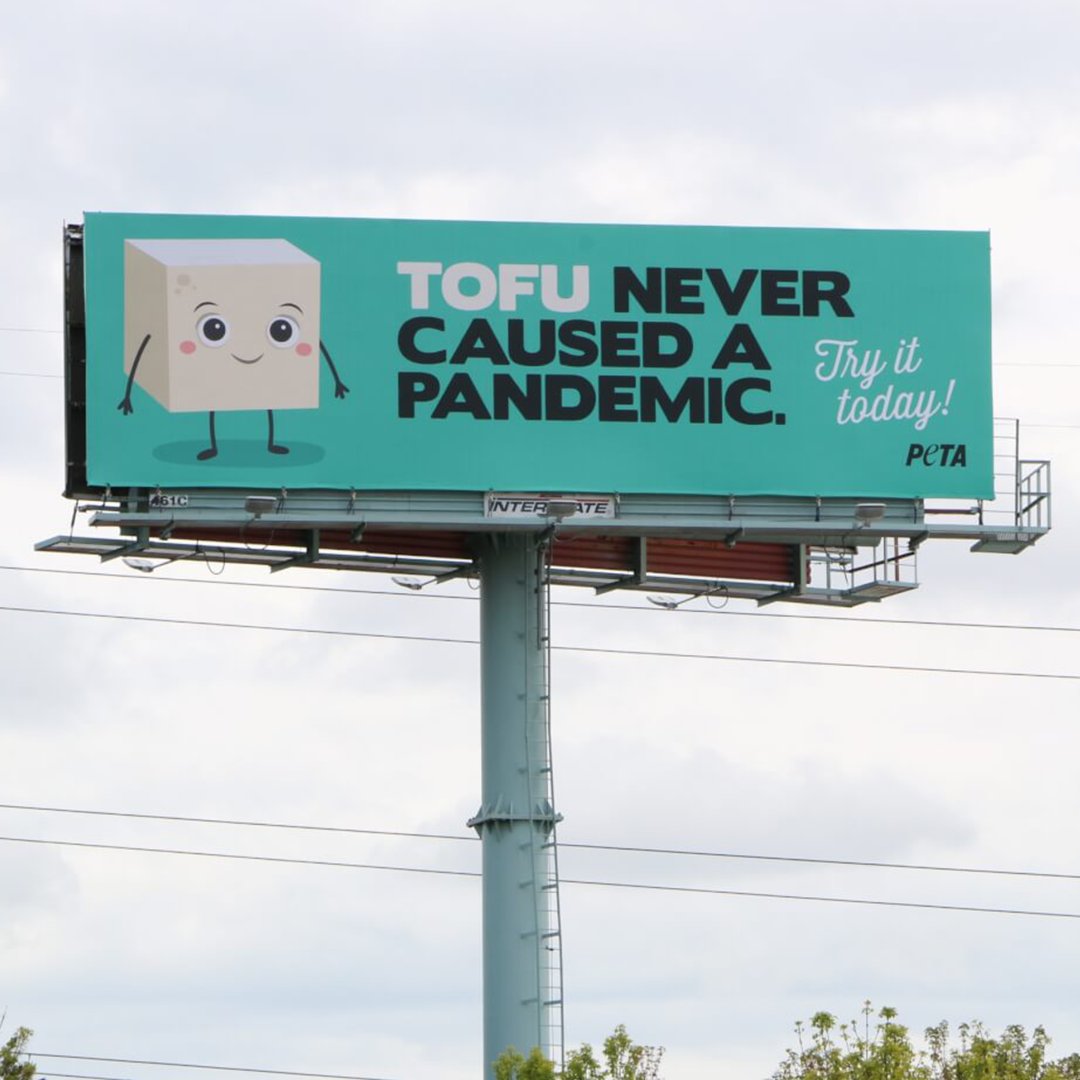 peta's tweet image. Just saying. #NationalTofuDay