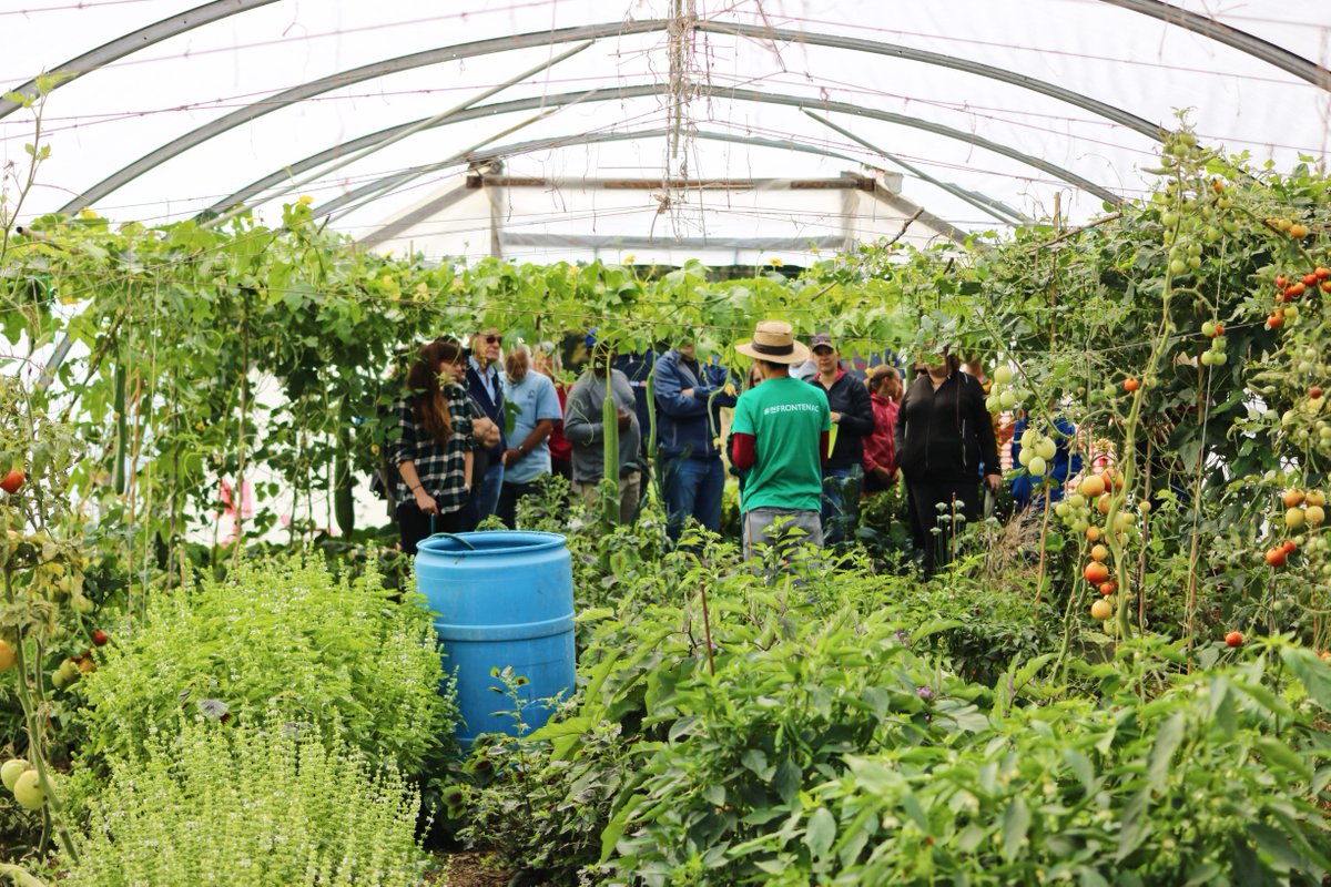 cityofkingston's tweet photo. Only a few days left to buy your tickets for Open Farms 2022! Don’t forget to check the map at https://t.co/4xkUnqrPwL to plan your routes.
#OpenFarms #InFrontenac #supportlocal #ruralKingston #FrontenacCounty #shoplocal #ExploreON #VisitKingston https://t.co/2Xq0Saks2g